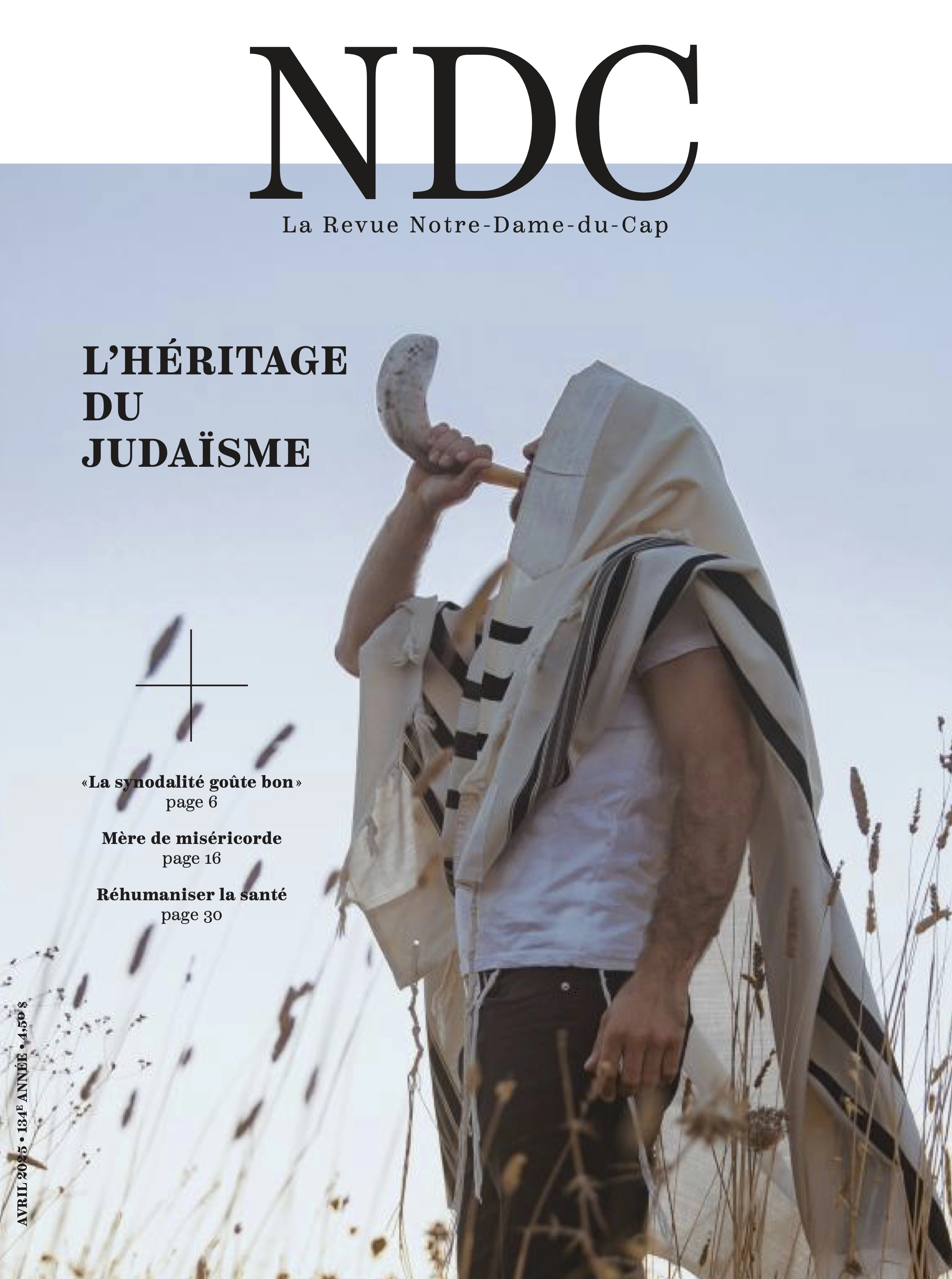 Revue NDC Avril 2025